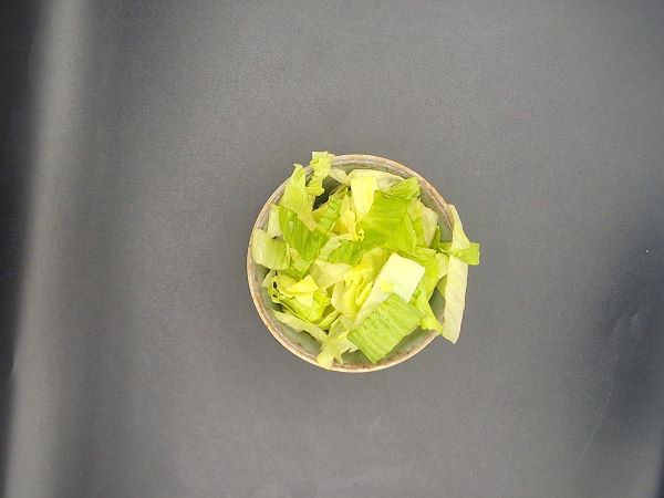Extra Lettuce